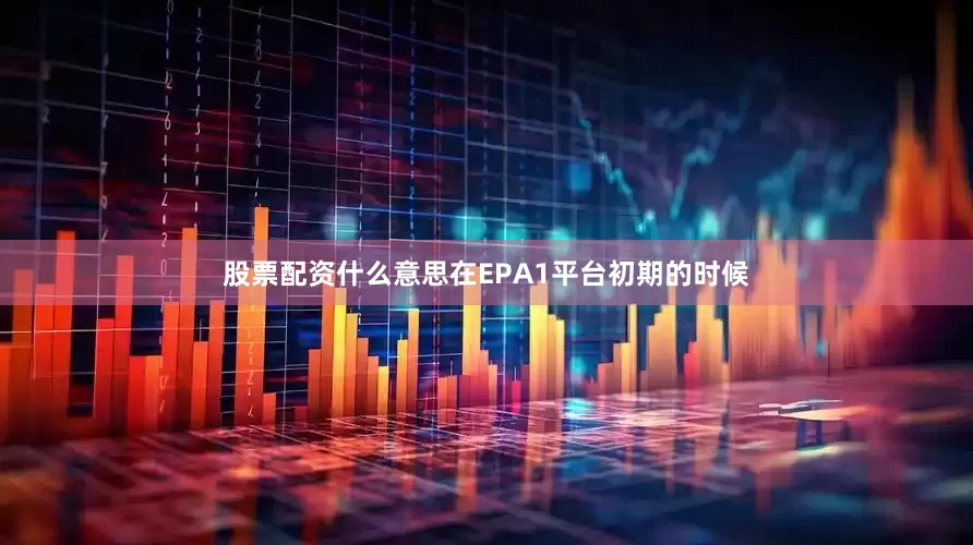 股票配资什么意思在EPA1平台初期的时候