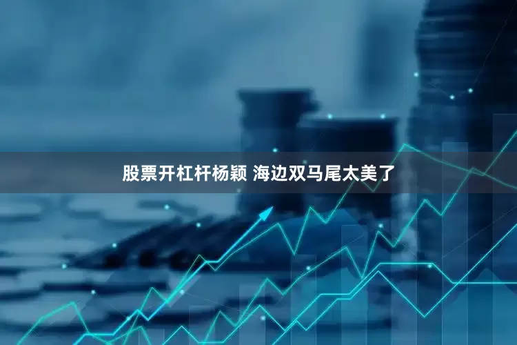 股票开杠杆杨颖 海边双马尾太美了